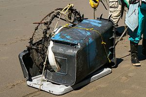 Registration is open for fall beach cleanup set for Sept. 17