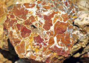 The 2016 Rock, Gem and Jewelry Show will take place from 9 a.m. to 5 p.m. Saturday and from 10 a.m. to 4 p.m. Sunday at the Vern Burton Community Center, 308 E. Fourth St. Featured rocks will include orbicular jasper, such as that seen here in the Bucegi Mountains of Romania. &mdash; Wikimedia Commons.