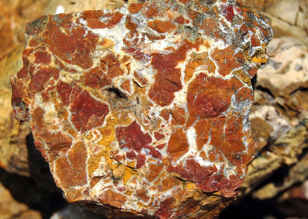 The 2016 Rock, Gem and Jewelry Show will take place Saturday and Sunday in Port Angeles. Featured rocks will include orbicular jasper, such as that seen here in the Bucegi Mountains of Romania. (Wikimedia Commons)