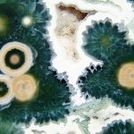 The 2016 Rock, Gem and Jewelry Show will take place Saturday and Sunday in Port Angeles. Featured rocks will include orbicular jasper, such as that seen here from Madagascar. (Wikimedia Commons)