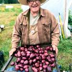 Max Lindert of Onatrue Farm in Port Townsend displays produce. (Amanda Millholland)