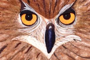 Yarn it up during 11th annual North Olympic Fiber Arts Festival