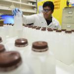 In an Aug. 31, 2016 photo,                                Kevin Churo, a lab assistant at BSK Labs in Vancouver, organizes samples of water last month in a temporary work space set up to deal with an increase in tests sent to the lab due to recent headlines about elevated levels of lead in drinking water at schools. (Ariane Kunze/The Columbian via AP)