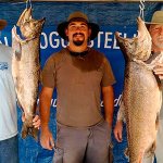 OUTDOORS: Kalaloch clams plentiful, but small