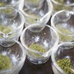 Ground-up marijuana flowers sit before potency testing at Analytical 360 in Yakima in January. (Kaitlyn Bernauer/Yakima Herald-Republic via AP)                                 Ground-up marijuana flowers sit before potency testing at Analytical 360 in Yakima in January. (Kaitlyn Bernauer/Yakima Herald-Republic via AP)