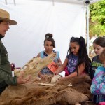 Olympic National Park Ranger Theresa Ferraro talks with Greywolf Elementary School students, from left, Kiana Redner, Emma Vose, Rylie Doig and Taylor Bugge from Shannon Green and Sheri Burke&rsquo;s third-grade class about animals at the Dungeness River Festival. (Matthew Nash/Olympic Peninsula News Group)