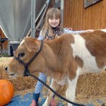 Five-year-old Lily Arrington of Carlsborg pets a 3-month-old Jersey bull calf at Dungeness Valley Creamery north of Sequim on Saturday. The creamery was one of seven farms and businesses taking part on the 20th annual Clallam County Farm Tour, a celebration of the agricultural heritage of the Dungeness Valley. (Keith Thorpe/Peninsula Daily News)