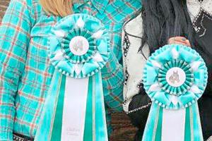 HORSEPLAY: 4-H helps riders gain confidence