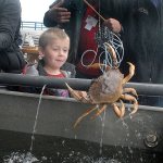 10,000 pounds: Visitors devour crab at Port Angeles festival