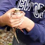 Working for the earth: Students train for ecological projects