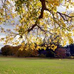 Fall has arrived at Fort Worden in Port Townsend. (Cydney McFarland/Peninsula Daily News)