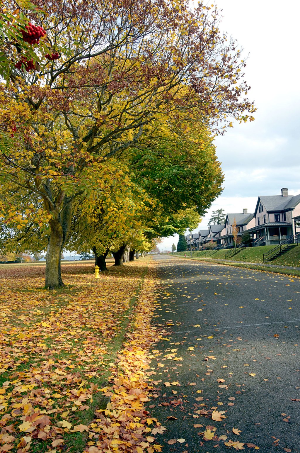 Fall has arrived at Fort Worden in Port Townsend. (Cydney McFarland/Peninsula Daily News)