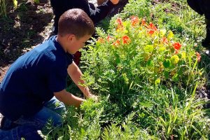 Two Peninsula schools win grants for student projects