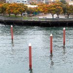 Port Angeles mooring floats expected to be replaced by May