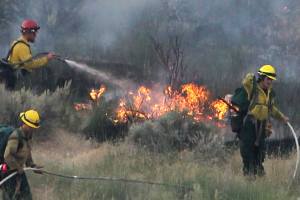 Study: Human-caused warming burns more Western forests