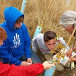 Port Townsend High School students, from left, Caleb Lumbard, Bodie LaBrie and Brennan LaBrie learn how to identify and monitor plants with Chrissy McLean of North Olympic Salmon Coalition.
