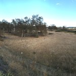 A 77-acre piece of property, Bell Creek Village, opens to sealed bids through Nov. 15. Owners seek $1.86 million for the whole property or a combination of five parcels. It was once connected with a Fred Meyer development as an anchor tenant but the facility was vetoed so as not to compete with sister company QFC. (Matthew Nash/Olympic Peninsula News Group)