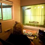 Debby Stallcop watches for sockeye salmon while counting fish coming through the fish ladder in July 2015 at Lower Granite Dam on the Snake River in Washington state. (Geoff Crimmins/The Moscow-Pullman Daily News via AP, File)