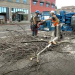 Interwest Construction Inc. employees Nick Donovan, left, and Dayne House work next to the remains of a tree in the 100 block of West First Street in downtown Port Angeles on Tuesday. (Keith Thorpe/Peninsula Daily News)
