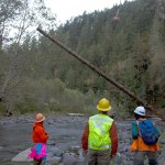 &ldquo;We want to help out the imperiled fish a bit,&rdquo; said the tribe&rsquo;s habitat program manager. (Tiffany Royal/Northwest Indian Fisheries Commission )
