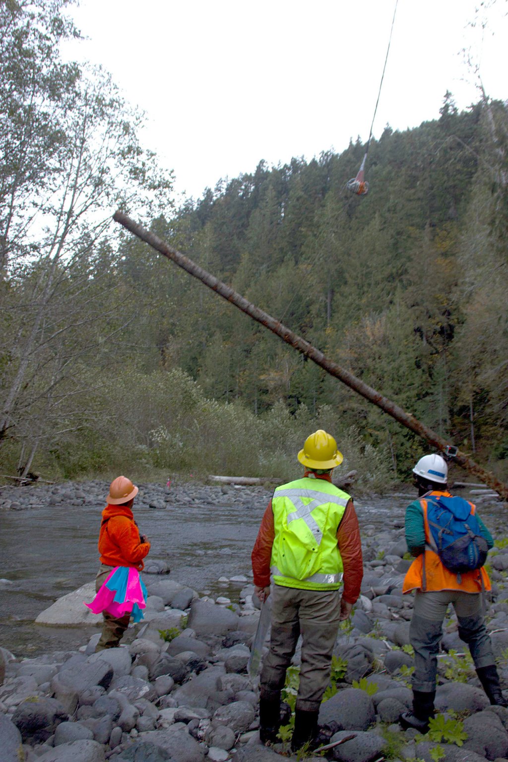 &ldquo;We want to help out the imperiled fish a bit,&rdquo; said the tribe&rsquo;s habitat program manager. (Tiffany Royal/Northwest Indian Fisheries Commission )