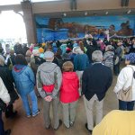 A crowd listens as members of the Lower Elwha Klallam Tribe sing during a protest of the Dakota Access Pipeline in downtown Port Angeles on Tuesday. (Jesse Major/Peninsula Daily News)