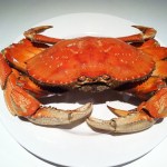 OUTDOORS: Summer Dungeness crab catch dips slightly