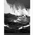 Alice James Books                                Matt Nienow, from 5 to 7 tonight, will give a reading from his new book, &ldquo;House of Water,&rdquo; seen here, a collection of poetry, at the Finnriver Cider Garden, 124 Center Road, Chimacum.