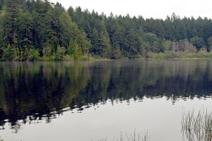 Anderson Lake open for fishing with new year-round schedule in place; toxins down