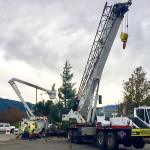 Photos by Captain-Crystal Stout 39&rsquo; Grand Fir. Sunk 4&rsquo; into ground. Tree donated by landowner Barb Hanna who also works for City of Sequim Bekevar Logging & Trucking donated cutting and transporting the tree. Owner Daniel Goettling, Accurate Angle, Sequim, donated the use of the crane. Patrick Walker, Walker Inc., Gig Harbor, donated the bucket lift and lights Local volunteers have spent three weeks putting lights up in downtown Sequim organized by Emily Westcott and Captain-Crystal Stout                                A 39-foot grand fir is sunk 4 feet into the ground in downtown Sequim. (Crystal Stout)