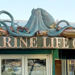 The Olympic Peninsula Art Association on Thursday will host its annual holiday potluck at St. Luke&rsquo;s Episcopal Church. The program will be presented by Clark Mundy, a self-taught copper sculptor who crafted the 20-foot-long copper and stainless-steel sculptural sign above the entrance to the Feiro Marine Life Center on the Port Angeles City Pier seen here. (Eric Neurath)