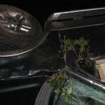 Sequim woman accused of stealing, crashing truck after police pursuit