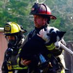 Marc Lawson, Captain for Clallam Fire District No. 3, carries a dog from a house that caught fire on Blue Valley Road east of Port Angeles on Sunday morning. (Jesse Major/Peninsula Daily News)