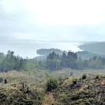 The Dabob Bay Natural Resource Conservation Area will grow by 3,393 acres under an executive order from commissioner of public lands Peter Goldmark. (Peninsula Daily News)