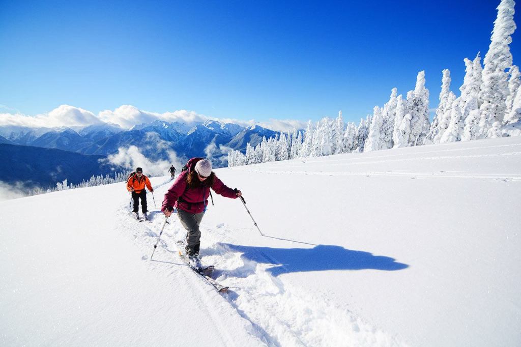 Celia Thompson of Port Angeles leads a group of cross-country skiers at Hurricane Ridge on Sunday. (Jesse Major/Peninsula Daily News)