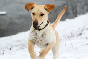 Cold to stick around on Peninsula