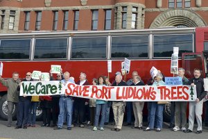 Settlement reached in Port Ludlow timber harvest issue