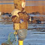 OUTDOORS: Tentative razor clam dig eyed at Kalaloch
