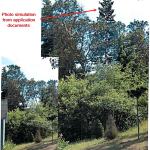 This composite image shows a rendering of what a proposed radio and cellphone tower could look like at the site north of Sequim. (Image courtesy Bryon Gunnerson)