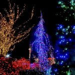 Decorative lights illuminate trees and bushes on the grounds of 7 Cedars Casino in Blyn. The campus of the nearby Jamestown S&rsquo;Klallam tribal offices and Longhouse Market & Deli are similarly adorned. (Keith Thorpe/Peninsula Daily News)