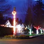 Holiday lights brighten trees at 10th and Cherry streets in a one-block section where there is a center median often referred to as Christmas Card Lane. (Dave Logan/for Peninsula Daily News)