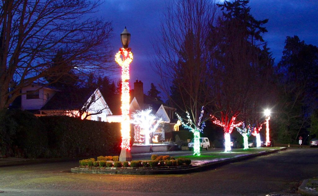 Holiday lights brighten trees at 10th and Cherry streets in a one-block section where there is a center median often referred to as Christmas Card Lane. (Dave Logan/for Peninsula Daily News)