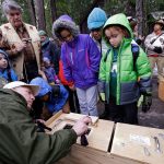 Visitors peer into a box holding a Pacific fisher Friday, Dec. 2 before the animal was released into a forest at Mount Rainier National Park. Pacific fishers, forest-dwelling weasel-like mammals whose numbers have declined in the West Coast throughout the decades, are slowly making a comeback in Washington state. The fisher was among 10 captured days earlier in British Columbia, and then released Friday as part of a multi-year effort to restore them to their historic range. (AP Photo/Elaine Thompson)