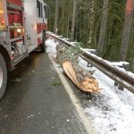 Clallam Fire District No. 2 protects the scene and the piece of tree that struck the vehicle Sunday. (Clallam Fire District No. 2)