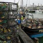 Eric Risberg/The Associated Press                                Crab pots sit on a processing pier and the back of a boat at Fisherman&rsquo;s Wharf on Tuesday in San Francisco.