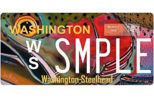 OUTDOORS: Steelhead license plates go on sale