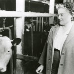 Josephine Yarr with prize winning dairy cow in 1964. (Jefferson County Historical Society)