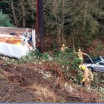 Freeland man dies in Highway 19 wreck
