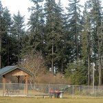 Pact reached to cut 400 trees in Lincoln Park to ease approach to airport runway