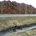 A drainage ditch along South Airport Road across from a log yard near William R. Fairchild International Airport contain traces of a black substance that is being investigated by Port of Port Angeles officials. (Keith Thorpe/Peninsula Daily News)